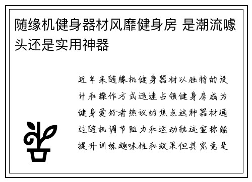 随缘机健身器材风靡健身房 是潮流噱头还是实用神器